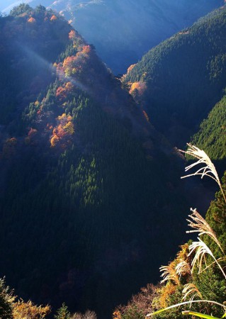 「午後の斜光（秩父.三峰山）」撮影者：竹山　武